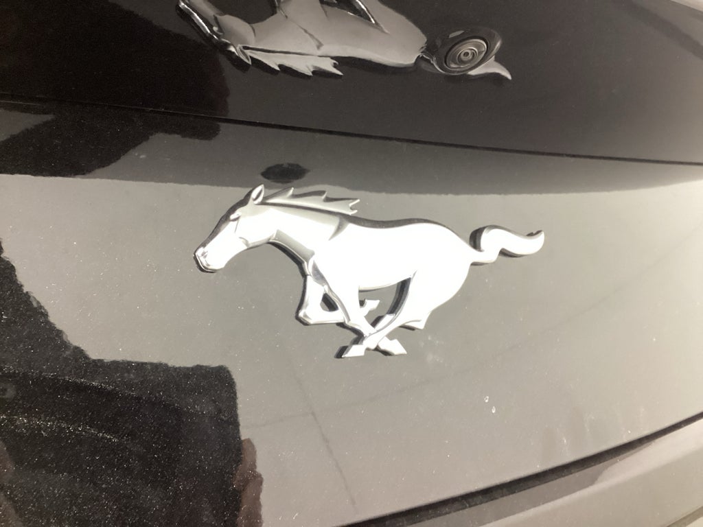 2026 Ford Mustang EcoBoost® Premium Fastback