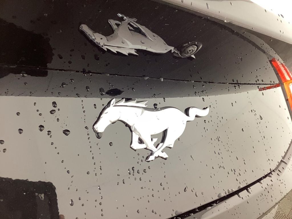 2026 Ford Mustang EcoBoost® Fastback