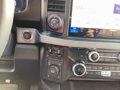 2025 Ford Super Duty F-350 SRW F-350® Platinum®