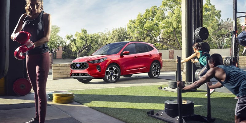 Used Ford Escape Plug-In Hybrid