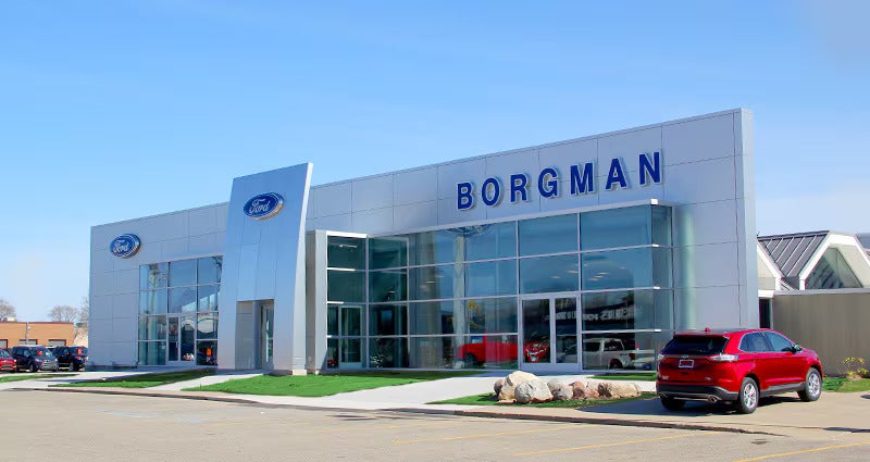 borgman img